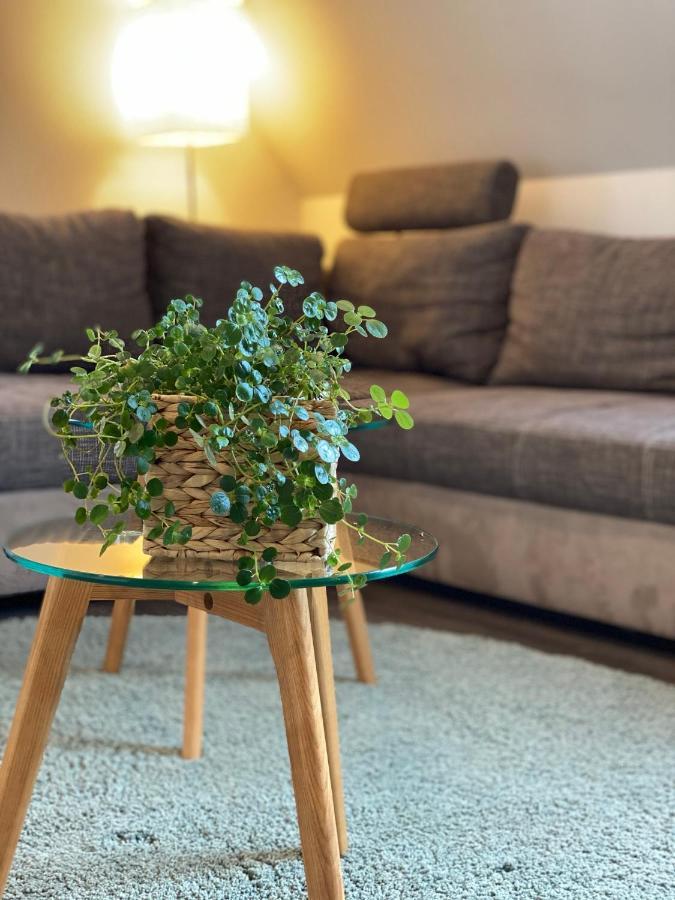 Fewo Sulzer Siedlung Erfurt "Haus 6"アパートメント エクステリア 写真